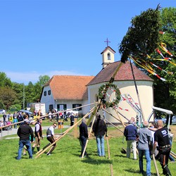 Maibaumaufstellen